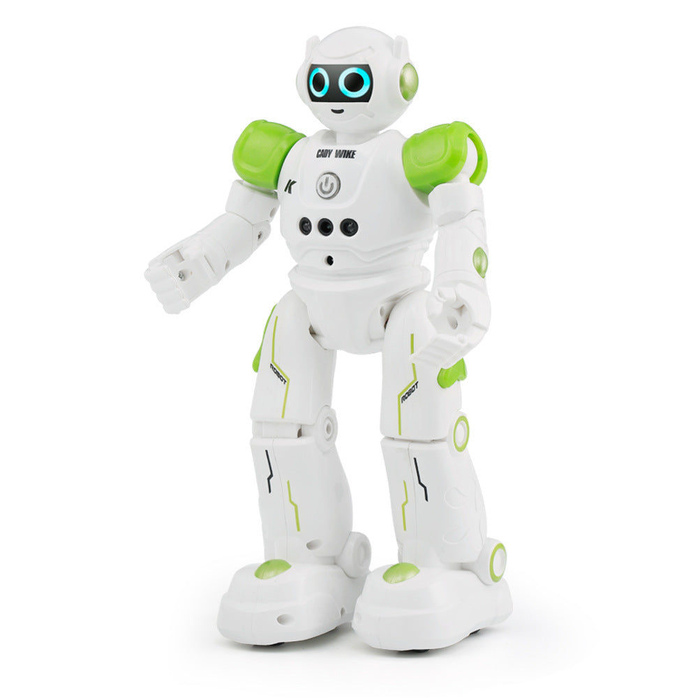 Remote Control Intelligent Robot